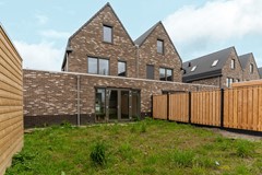 58-Moerasorchidee 13 - Lelystad.jpg